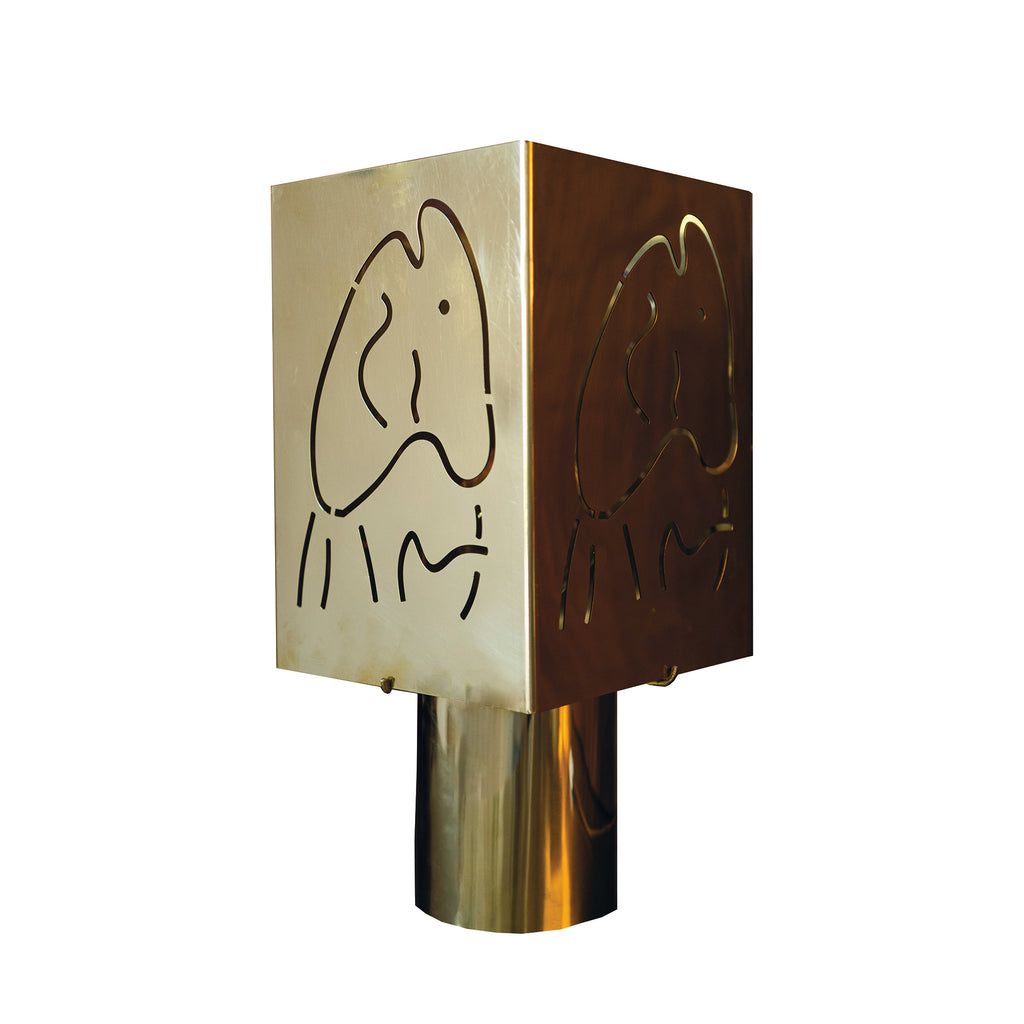 variants-14754516992344